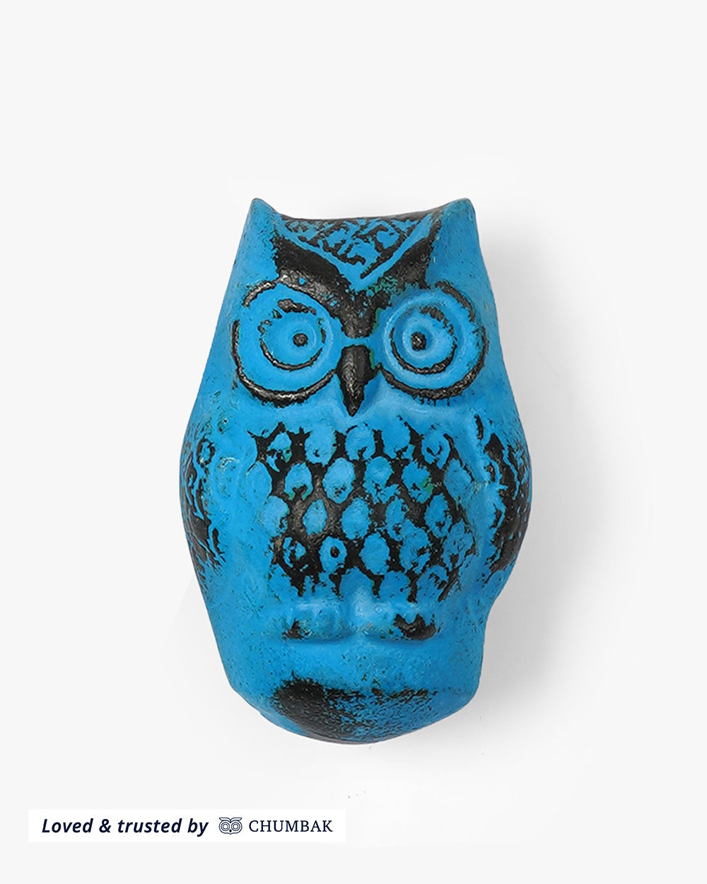 Wise Owl Door Knocker