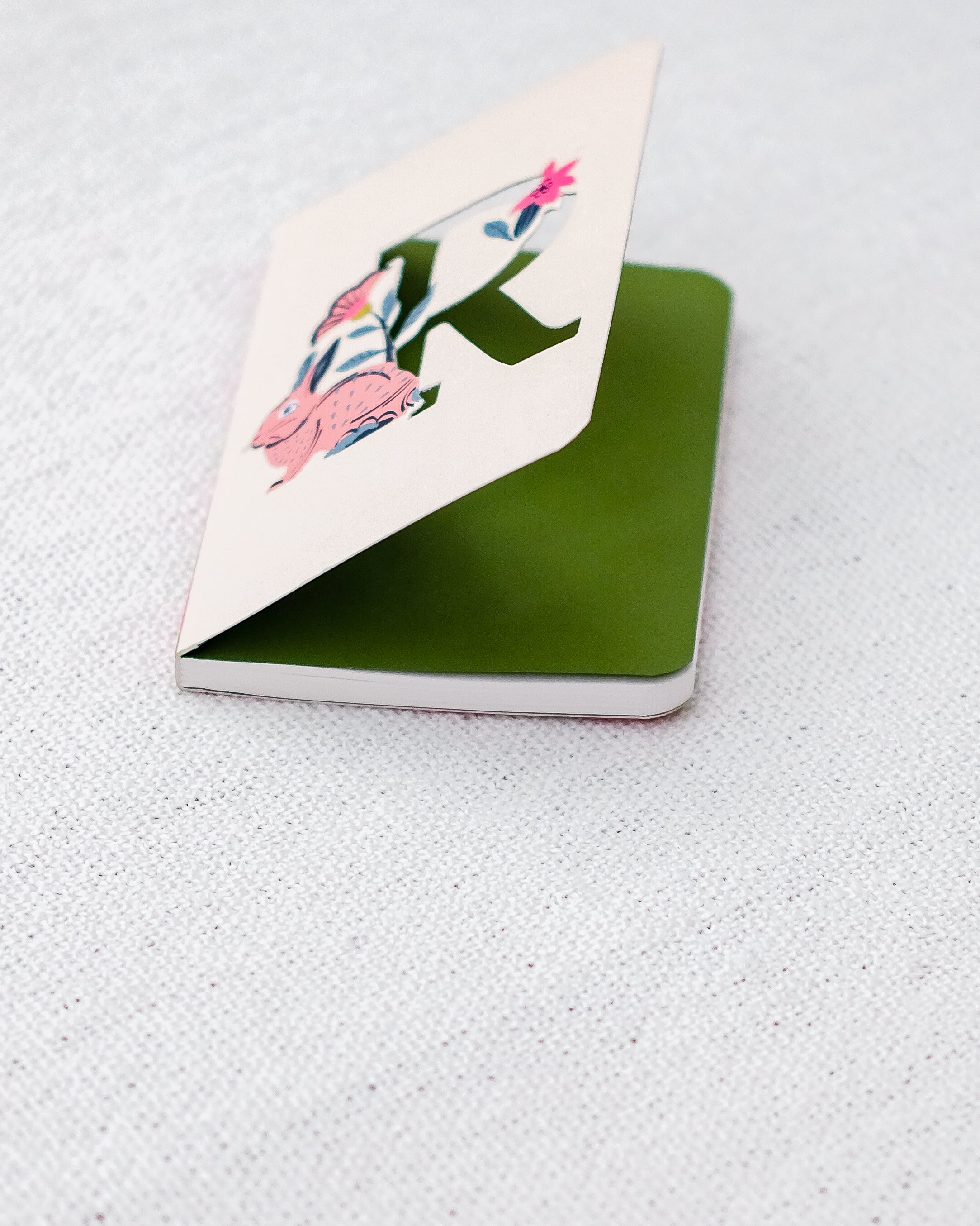 Rabbit Notebook – R