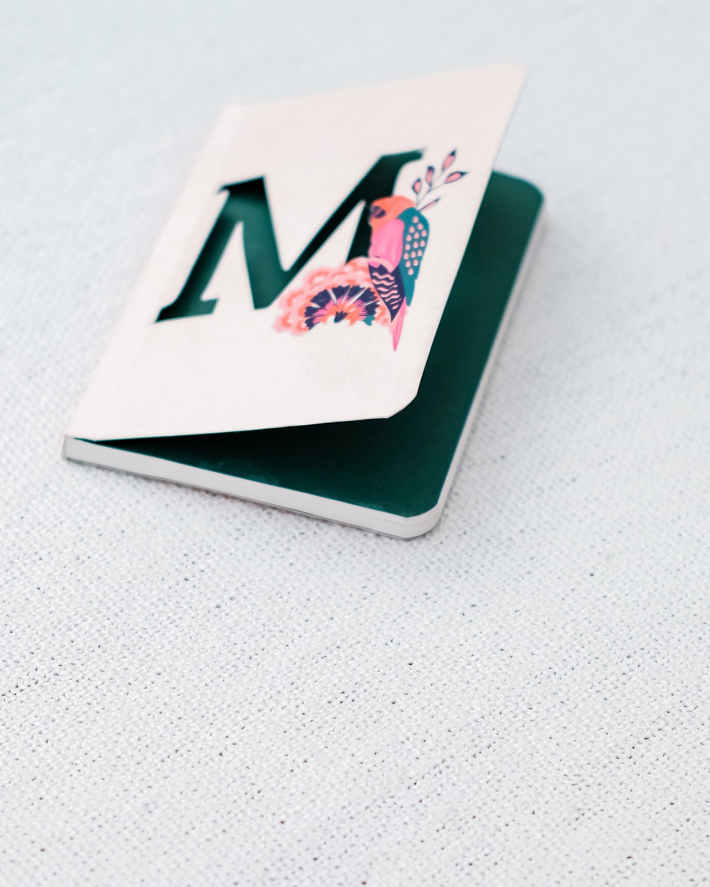 Macaw Notebook – M