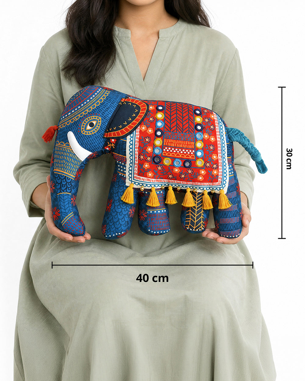 The Royal Ride Kutch Cushion