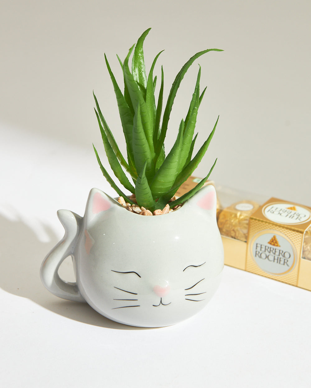 Blushing Cat Planter Gift Set | Set of 2