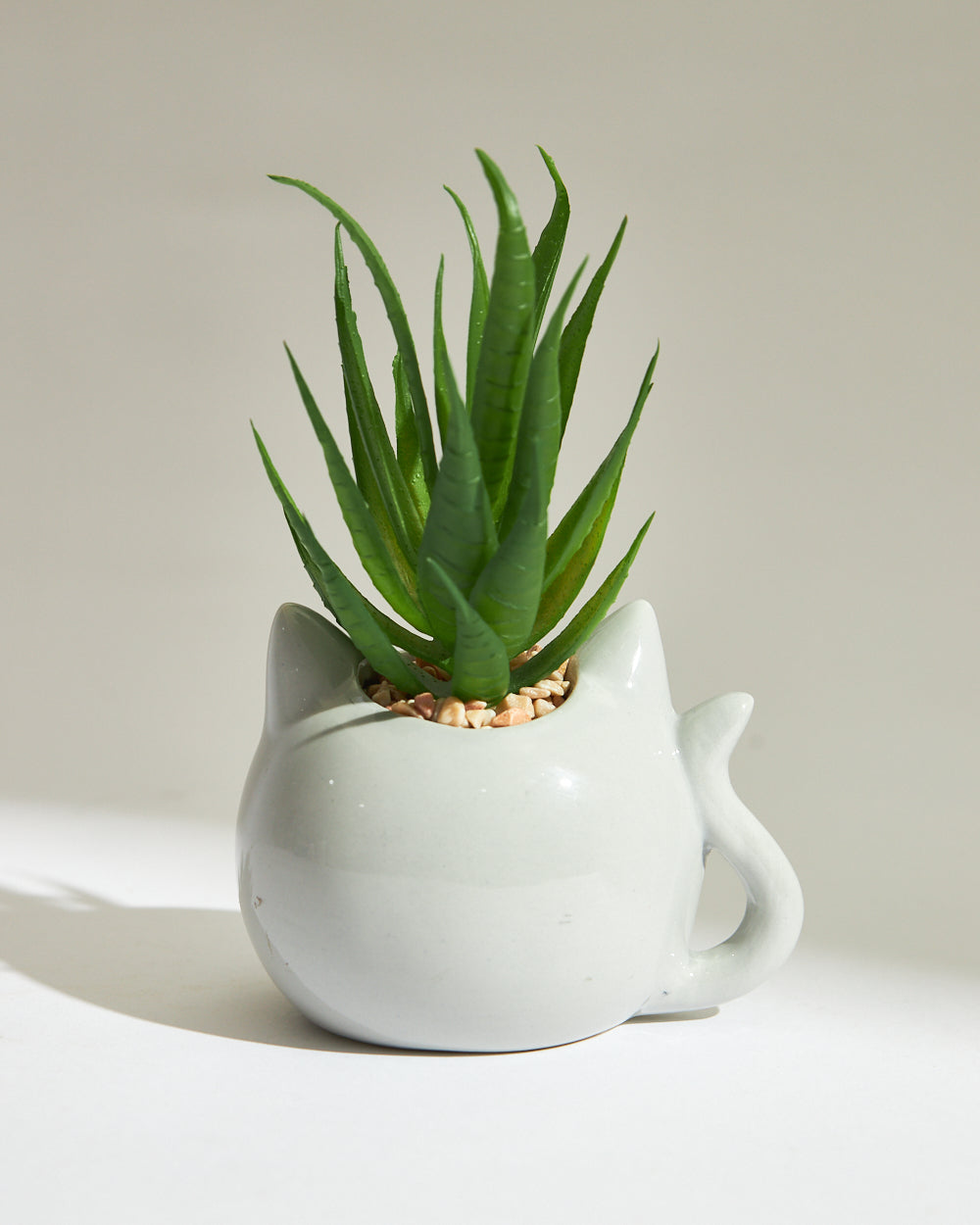 Blushing Cat Planter Gift Set | Set of 2