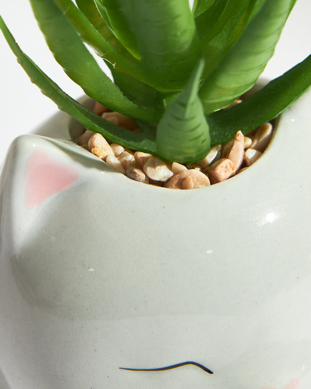 Blushing Cat Planter Gift Set | Set of 2