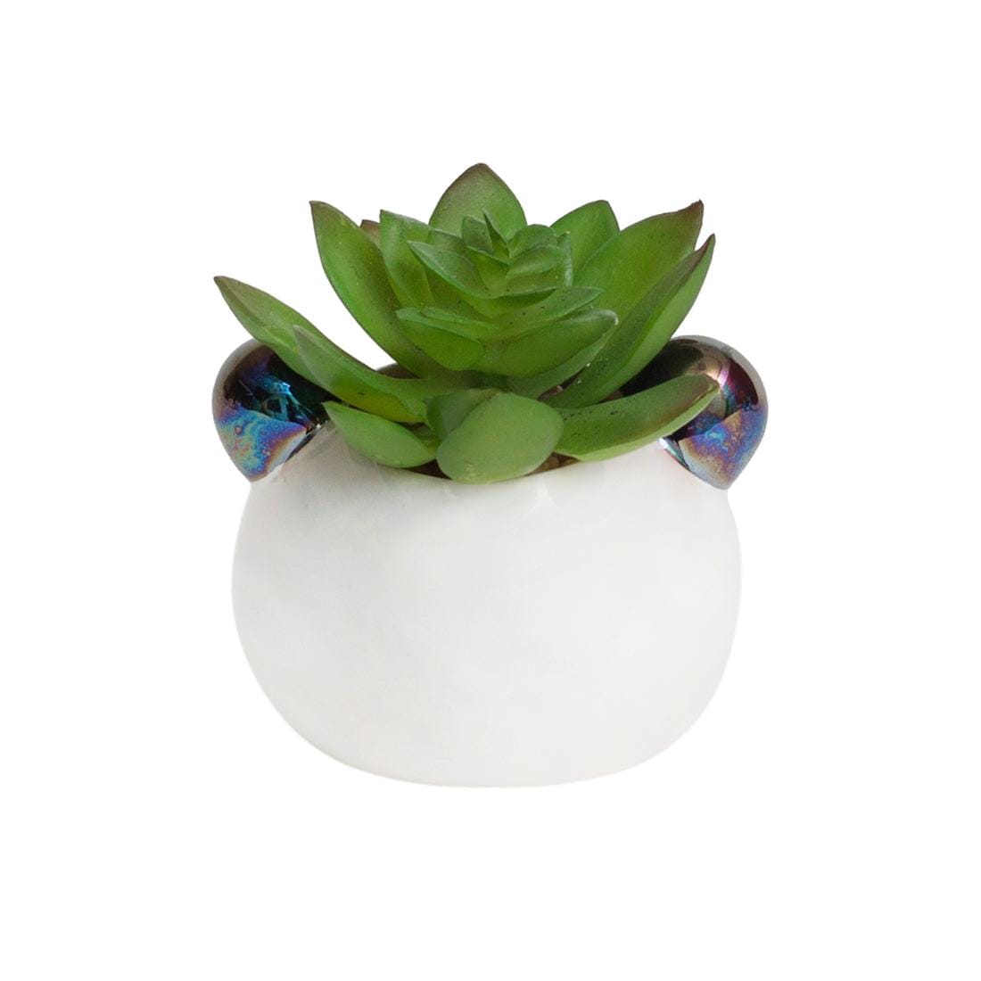 Chumbak Chubby Panda Planter