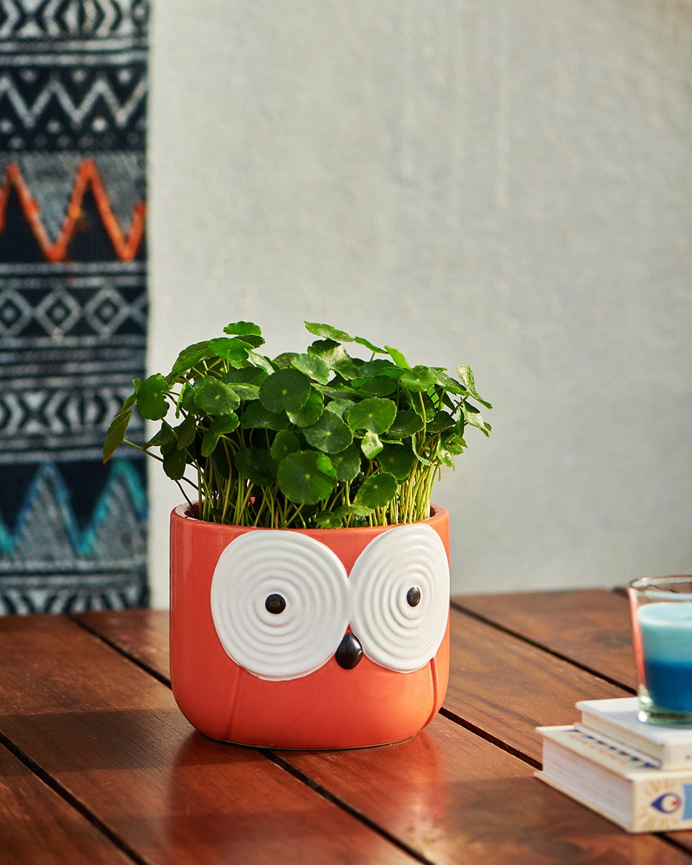 Chumbak OWL is Good Mini Planter - Pink
