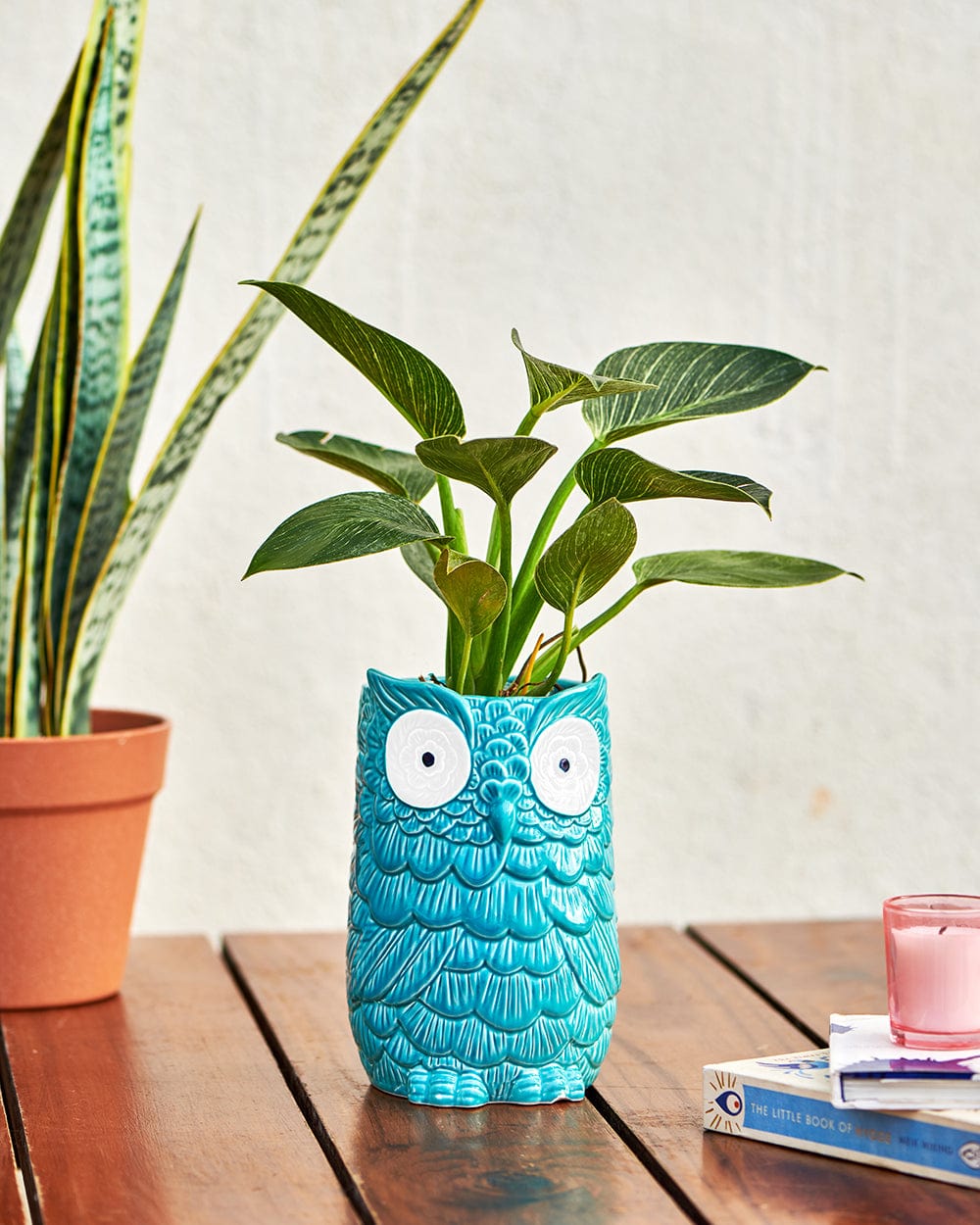 Chumbak OWLoween Mini Planter-Teal