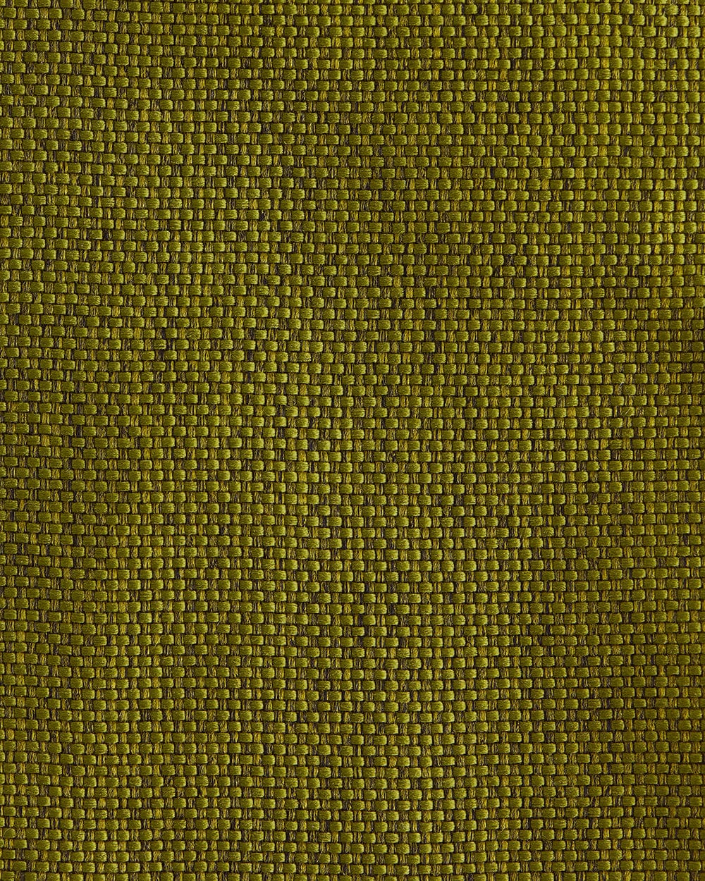 Chumbak Begum Wing Chair - Plain