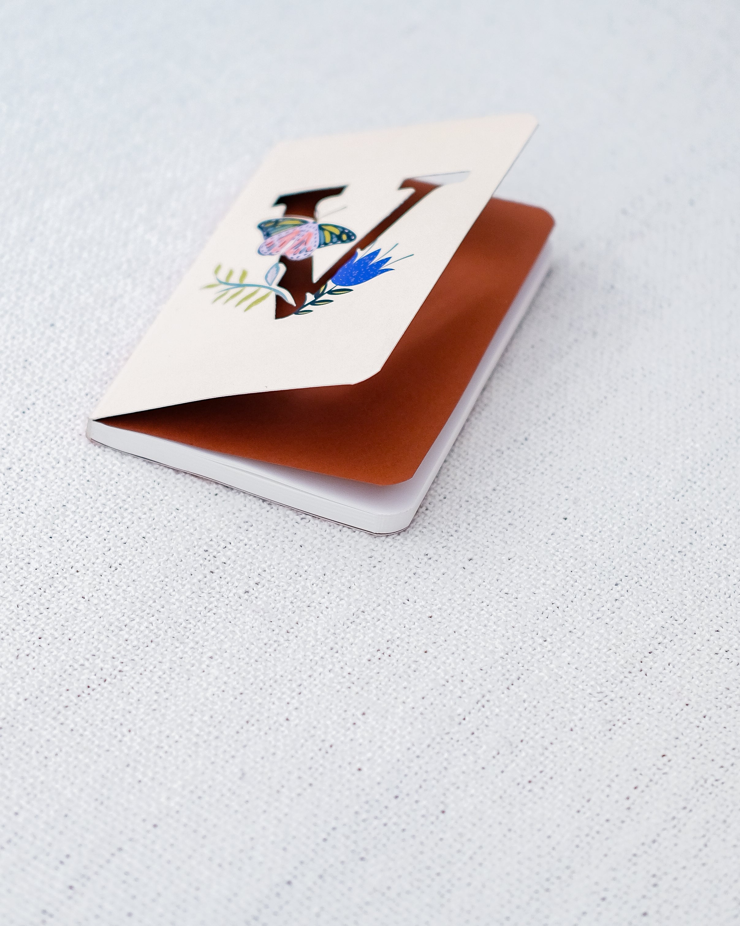 Viceroy Notebook – V