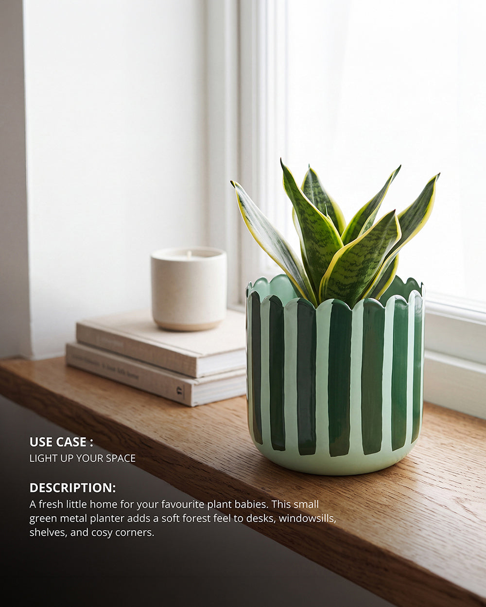 Green Grove Metal Planter - Small | Forest Folklore
