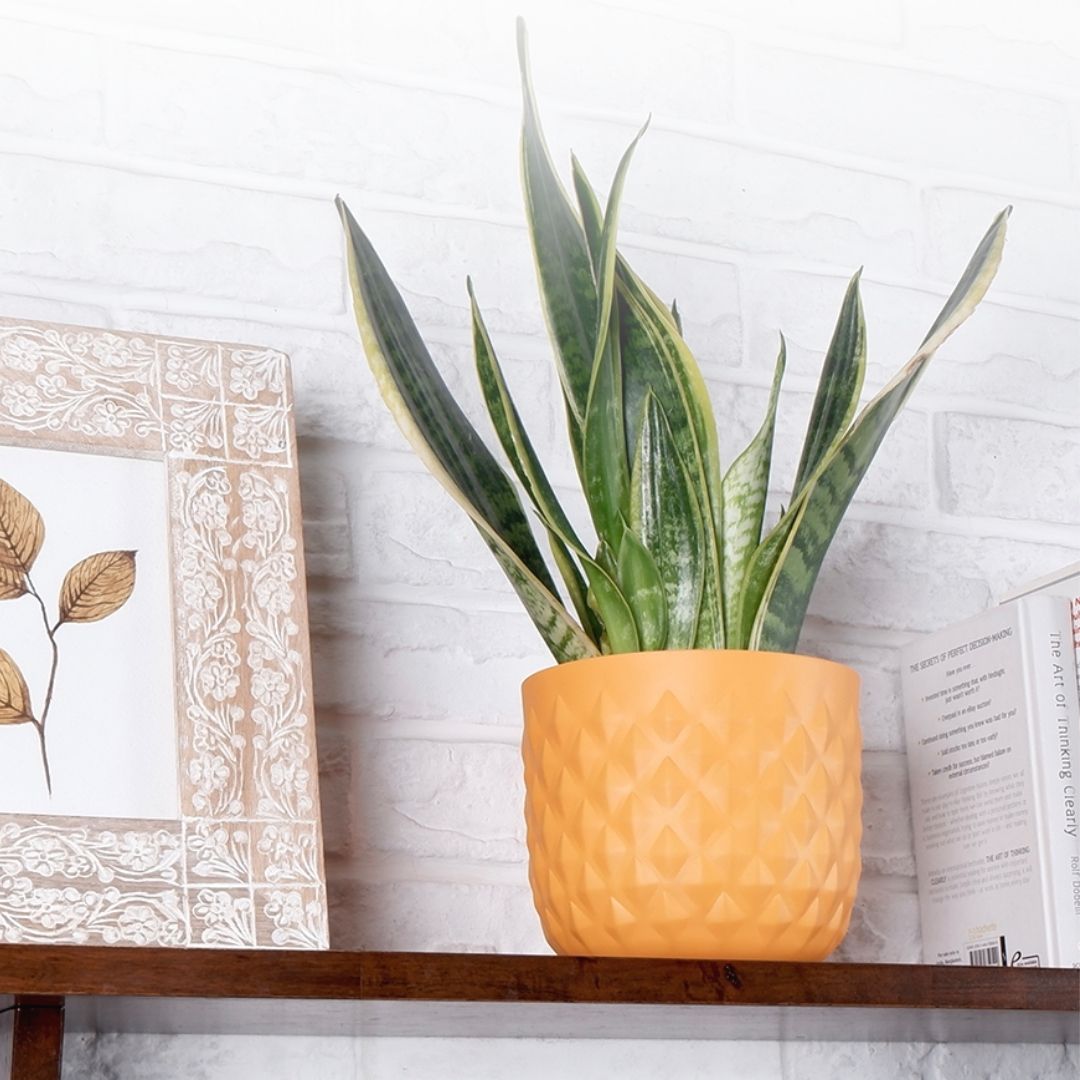 Pineapple Planter Yellow 5.3"