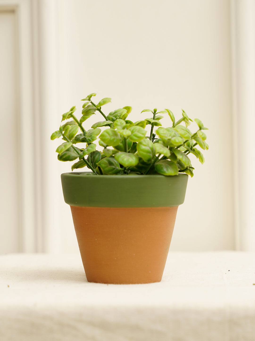 Cute Planter, Set of 3