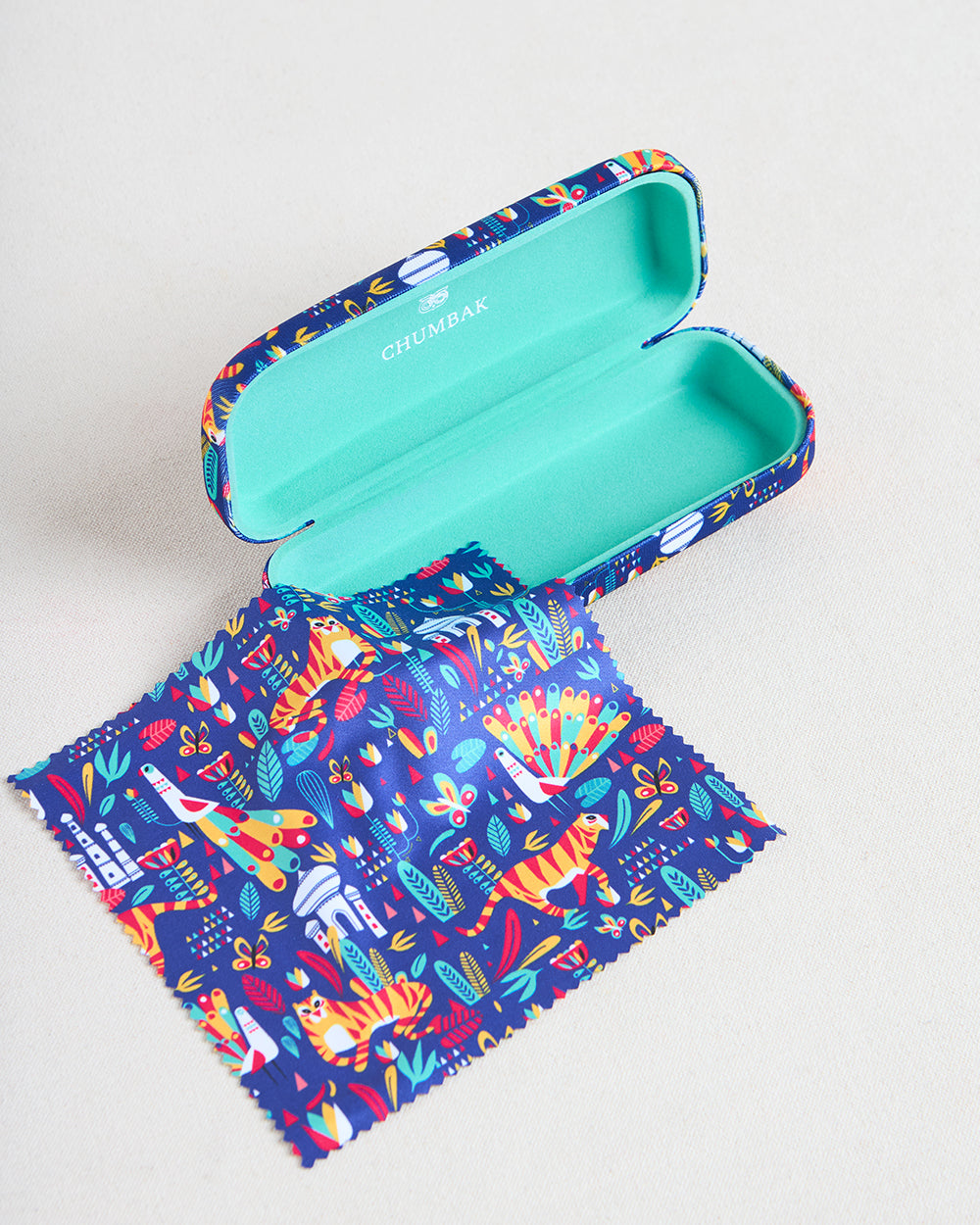 A Story In Stripes Eyewear Case