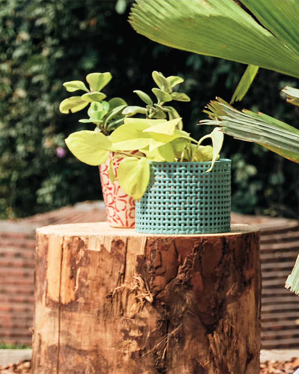 Rooted in Style Plant Holder - Teal