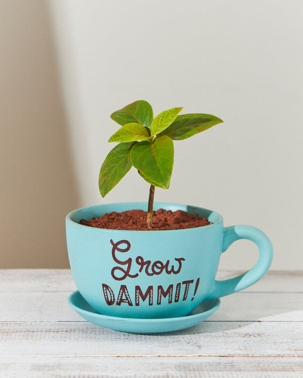 Grow Dammit  Planter - Teal