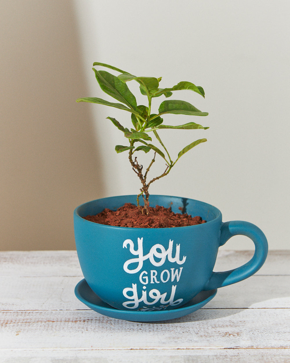 You Grow Girl Planter - Deep Teal