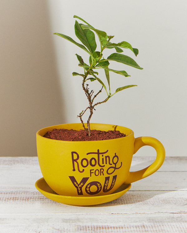 Rooting for you Planter - Mustard