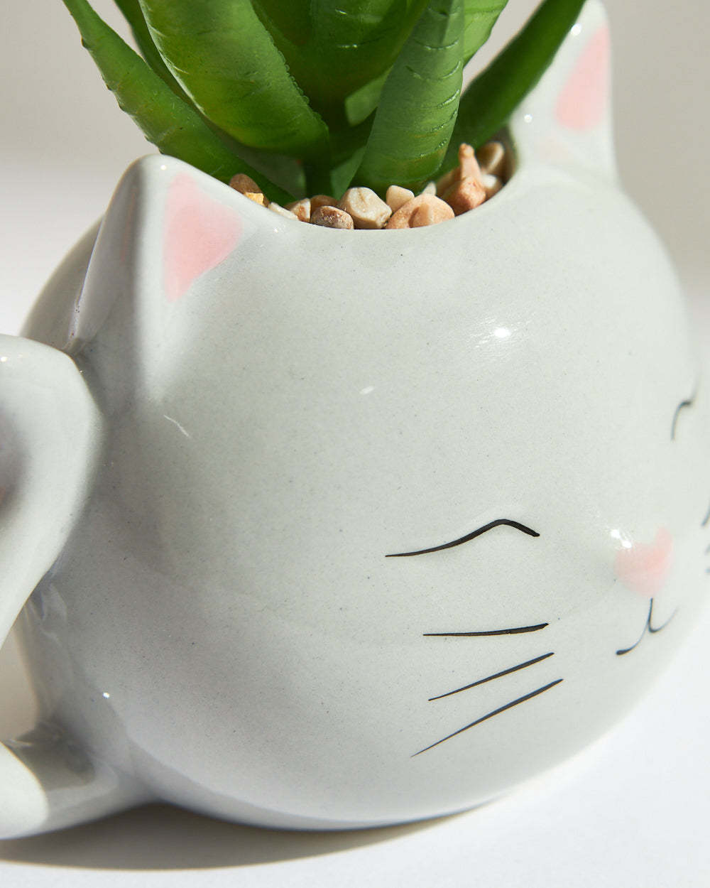 Blushing Cat Planter Gift Set | Set of 2