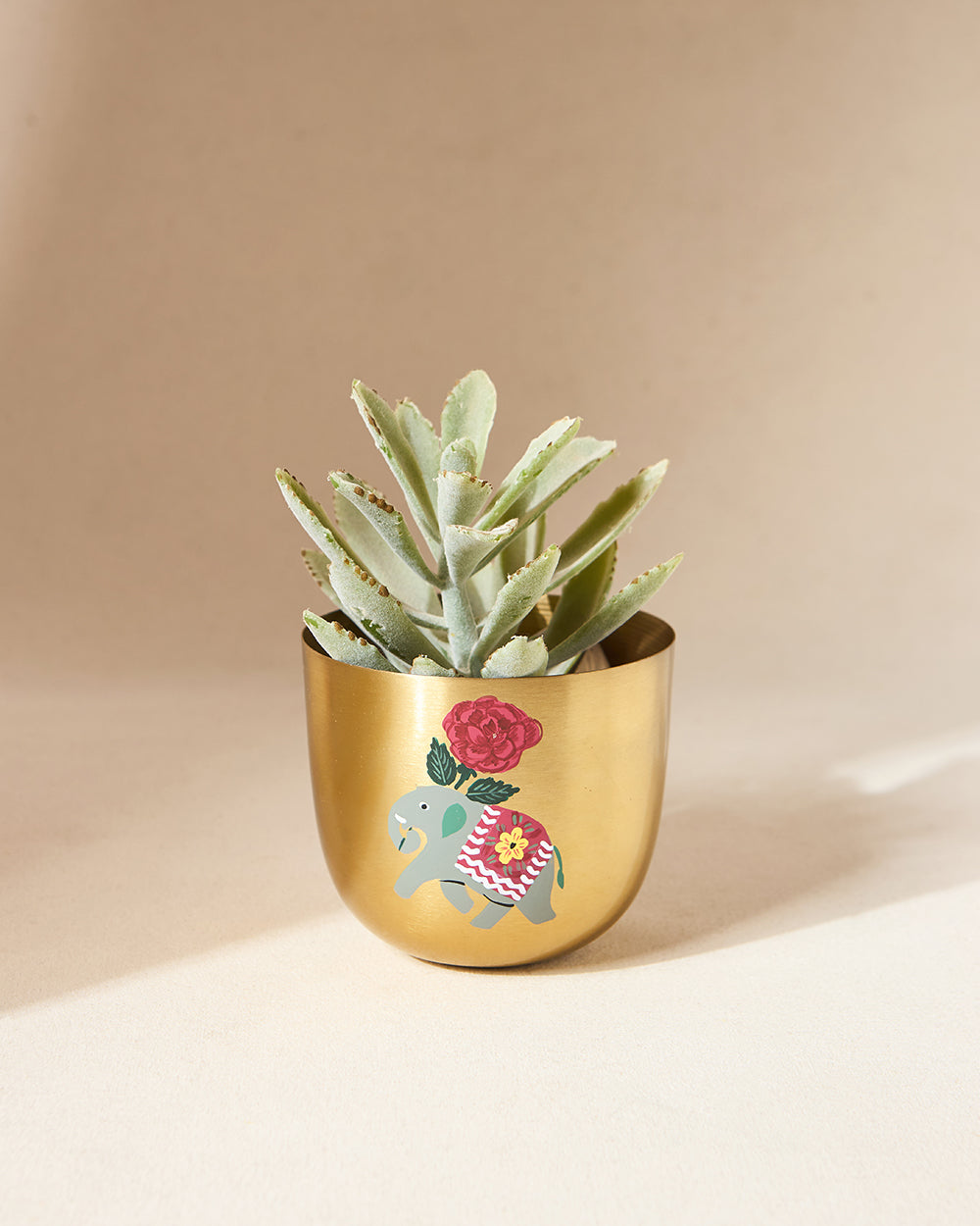 Royal Tusker Hand-painted Planter, 5" dia | Palace Memoirs