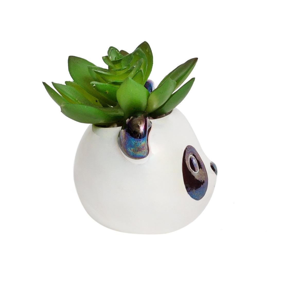 Chumbak Chubby Panda Planter