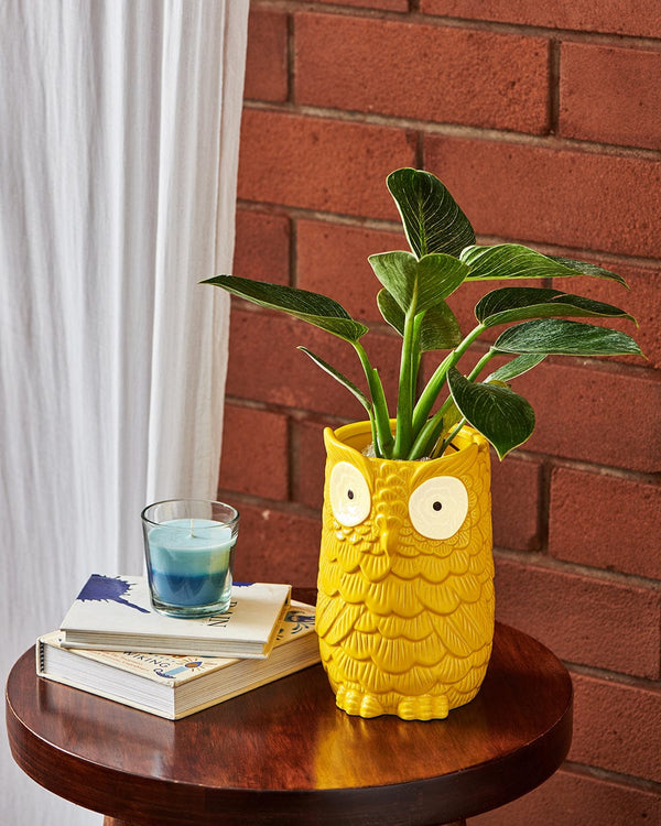 Chumbak OWLoween Mini Planter-Yellow