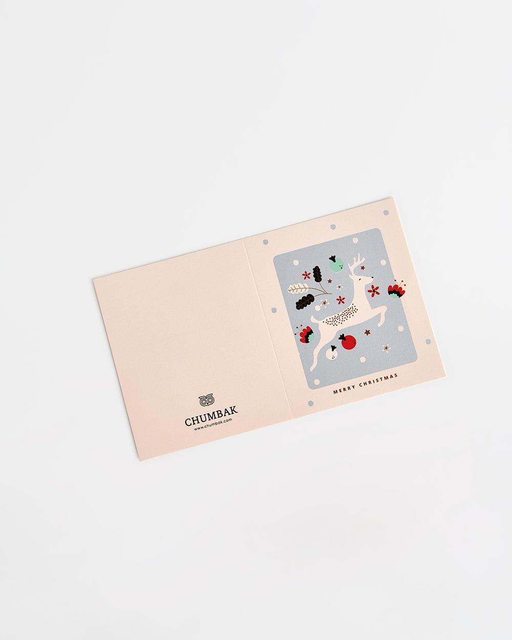 Merry Christmas Message Card